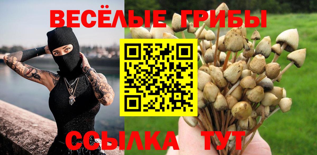 Галлюциногенные грибы Cubensis Асбест