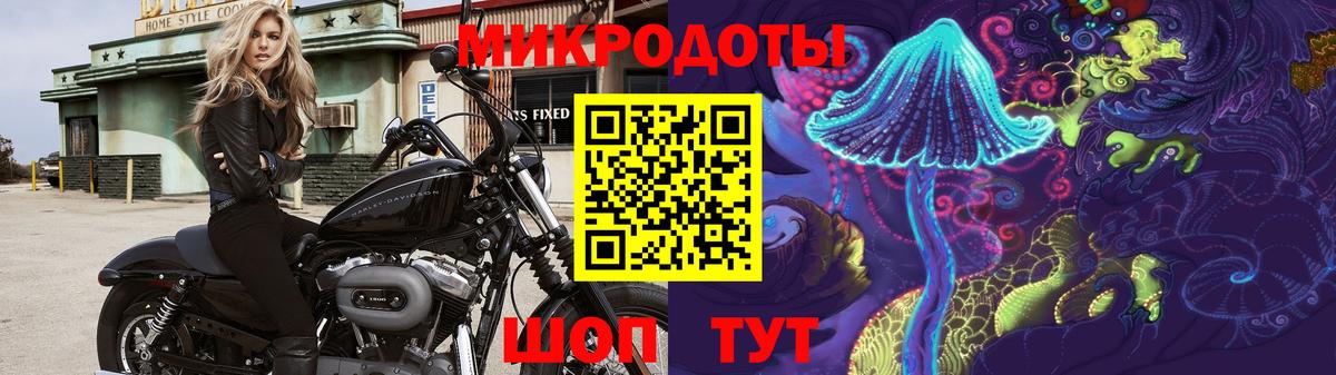 Псилоцибиновые грибы GOLDEN TEACHER  Вход с VPN  Псилоцибиновые грибы мицелий  Асбест 